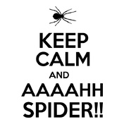 keep-calm-and-aaahh-spider