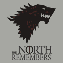 the-north-remembers T-Shirts | Buy the-north-remembers T-shirts online ...