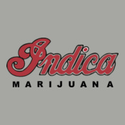 indica-marijuana