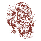 Eagles-Lovers