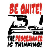 the-programmer-is-thinking
