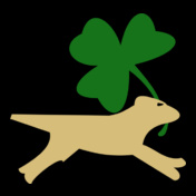 Go-Green-Yellow-Lab