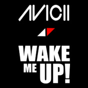 Avicii-Tees