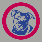 Ash-pitbull-head-circled