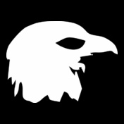eagle-white