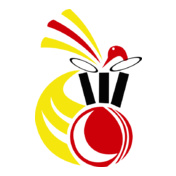 CRICKET-Style-