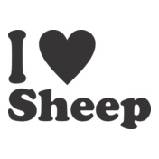 black-sheep-i-love-sheep