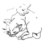 Girl-Talk-%Music%-CAT