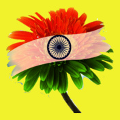 independence-day-flag