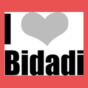 bidadi