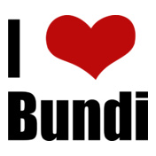 Bundi