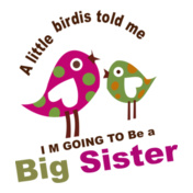 BIG-SISTER