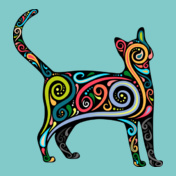 Colourful-cat