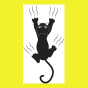 Black-cat