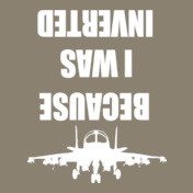 Because-I-was-inverted