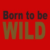 born-to-wild