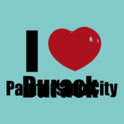 Palmerston-City