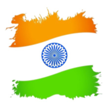 Indian Flag t-shirts for Men and Women [Editable Designs]