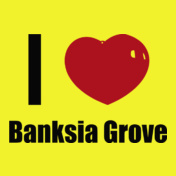 Banksia-Grove