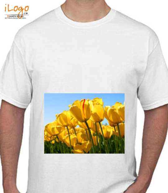 Tee  T-Shirt