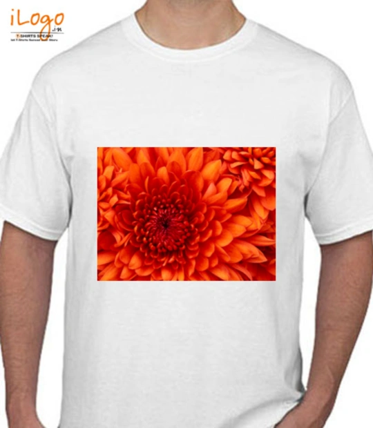 Tee xsdsa T-Shirt