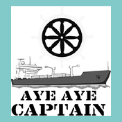 aye-aye