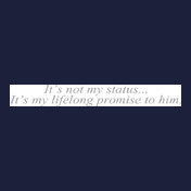 navy-wife-its-not-my-status
