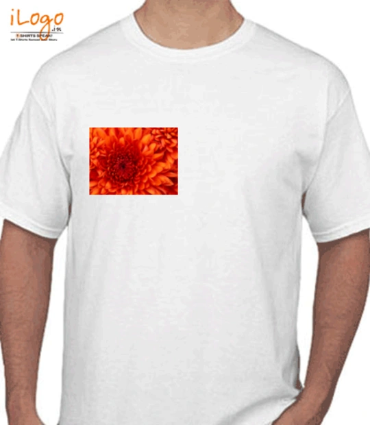 T shirts Avani-Dani T-Shirt
