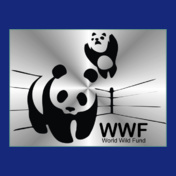 WWF-ring