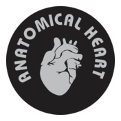 anatomical-heart