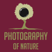 Photography-of-nature