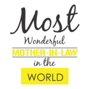 Wonderful-tshirt