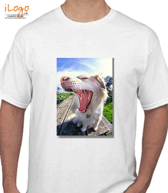 T shirts ithin-test- T-Shirt