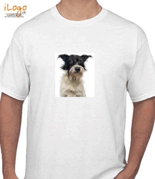 T shirts dfsdfsdf T-Shirt