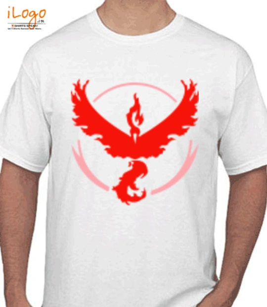 Put a bird on it Valors-Power-Team T-Shirt