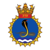 INAS--insignia