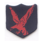 infantary-division-red-eagle