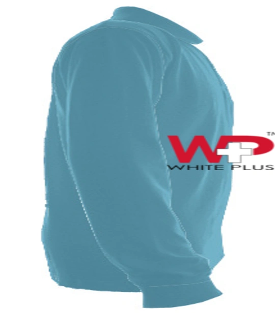 wp-logo- Right Sleeve