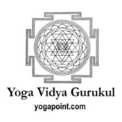YVG-Logo-