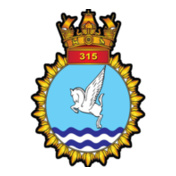 INAS--INSIGNIA-TSHIRT