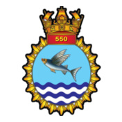 INAS--INSIGNIA-HOODIE