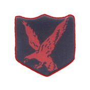 INFANTARY-DIVISION-RED-EAGLE-POLO