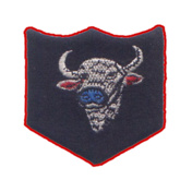 INFANTRY-DIVISION-BISON-POLO