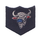 INFANTRY-DIVISION-BISON-HOODIE