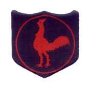 INFANTRY-DIVISION-FIGHTING-COCK-HOODIE