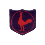 INFANTRY-DIVISION-FIGHTING-COCK-POLO