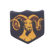 MOUNTAIN-DIVISION-RAM-JACKET