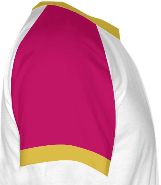 Axis-Bank Right Sleeve