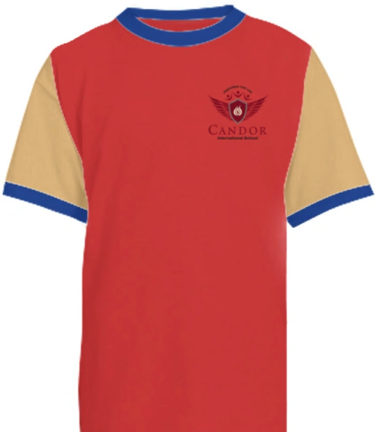 Logo t shirts/ Candor-International-School-Logo T-Shirt