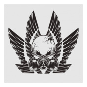 pilot